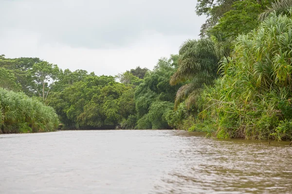 River in Costa Rica — Stock Photo, Image