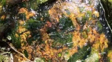 Small cascading creek