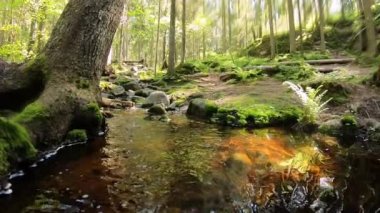Small cascading creek