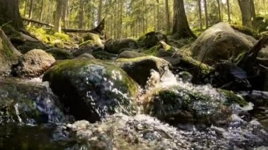 Small cascading creek