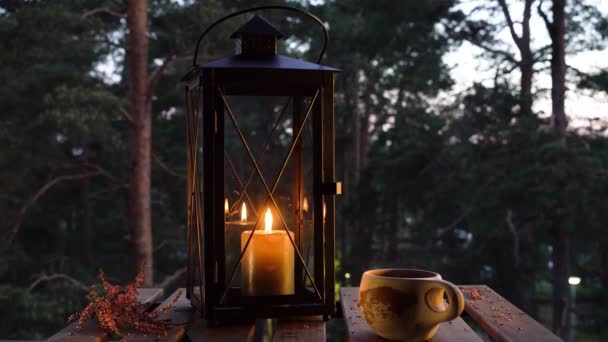 Lucerna se svíčkou ve večerním letním lese. — Stock video