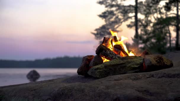 Una hoguera ardiendo en un bosque en la orilla de un lago a medianoche — Vídeos de Stock