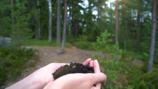 Φυτρώνουν δέντρα που μεγαλώνουν από ανθρώπινα χέρια στο φόντο του δάσους — Αρχείο Βίντεο
