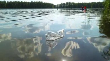 Doğadaki plastik çöpler. Suda yüzen kullanılmış şişe..