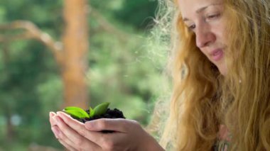 Ormanın arka planında insanların ellerinden filizlenen bir ağaç.