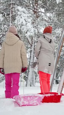 Karlı parkta çam ağaçlarıyla çevrili kızaklarla yürüyen iki kız. Huzurlu kış yaşam tarzı, aile aktivitesi, sıcak soğuk hava havası..