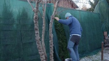 Soğuk ve soğuk bir sabahta bahçesini kışa hazırlayan bir adam bitkileri koruyucu kumaşla koruyor. Sakin mevsimsel yaşam tarzı atmosferi yumuşak doğal ışık ve erken kış havası.