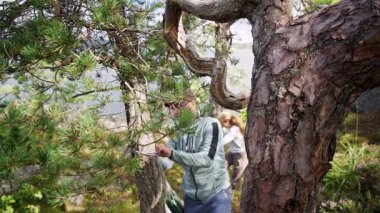 Kayalık bir deniz kıyısında çam ağaçları arasına hamak kuran çift. Doğal bir İskandinav manzarasında otantik açık hava yaşam tarzı, orman banyosu ve zihinsel sağlık konsepti.