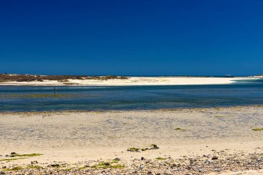 Tunus 'un başkenti Cerba' da Akdeniz 'in alçak gelgitte güzel bir manzarası var.
