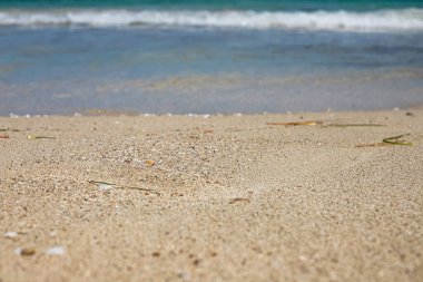 Deniz Burnu. Harika bir göl manzarası, deniz kıyısı, beyaz kumsal ve mavi deniz. Djerba Adası, Tunus