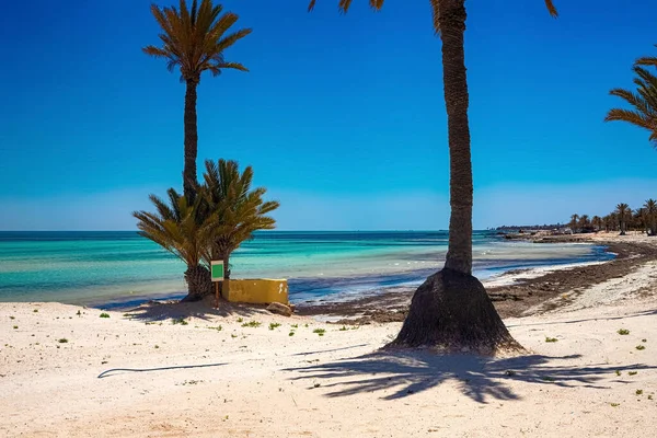 Ein schöner Blick auf die Mittelmeerküste mit Birkenwasser, einem Strand mit weißem Sand und einer grünen Palme. — Stockfoto