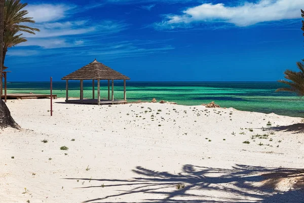 Una hermosa vista de la costa mediterránea con agua de abedul, una playa con arena blanca y una palmera verde. — Foto de Stock