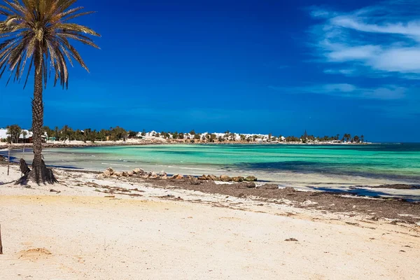 Uma bela vista da costa mediterrânea com água de bétula, uma praia com areia branca e uma palmeira verde. — Fotografia de Stock