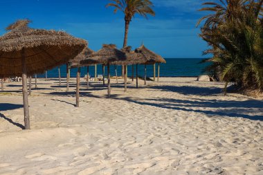 Akdeniz kıyısında huş ağacından suyla beyaz kumsal ve şemsiye manzarası.