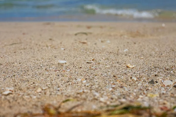 Wybrzeże Morza Śródziemnego. Piasek i muszle na piasku z bliska. Wyspa Djerba, Tunezja — Zdjęcie stockowe