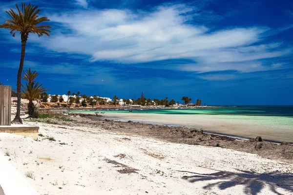Uma bela vista da costa mediterrânea com água de bétula, uma praia com areia branca e uma palmeira verde. — Fotografia de Stock