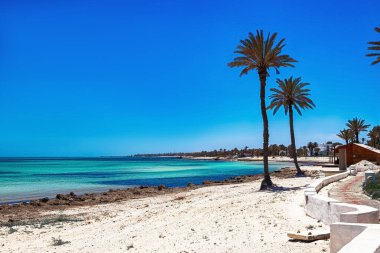 Akdeniz 'in huş ağacı, beyaz kumlu bir plaj ve yeşil palmiye ağacıyla güzel bir manzarası var..