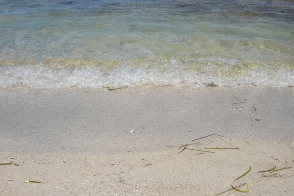 Wybrzeże Morza Śródziemnego. Piasek i muszle na piasku z bliska. Wyspa Djerba, Tunezja — Zdjęcie stockowe
