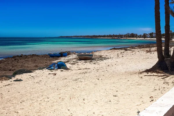 Une belle vue sur la côte méditerranéenne avec de l'eau de bouleau, une plage de sable blanc et un palmier vert. — Photo