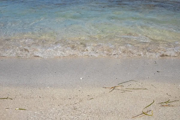 Costa Mediterránea. Arena y conchas marinas en el primer plano de arena. Isla de Djerba, Túnez —  Fotos de Stock