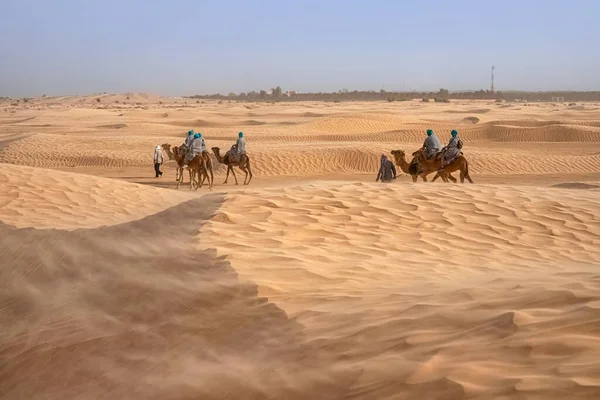 View of tourists who ride camels in the Sahara desert during strong winds — Stock Photo, Image