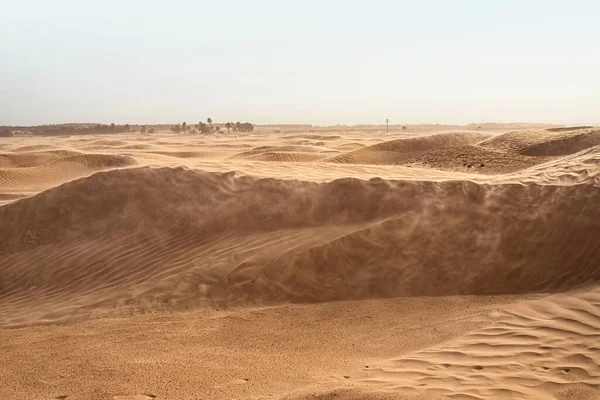Ensamma sanddyner i en stark vind under himlen mot bakgrund av torra öknen — Stockfoto