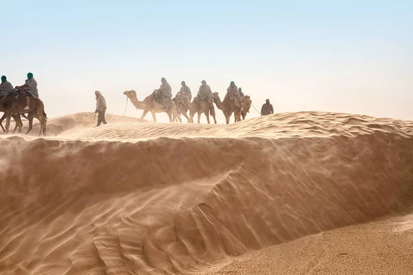 Vista de los turistas que montan camellos en el desierto del Sahara durante los fuertes vientos —  Fotos de Stock