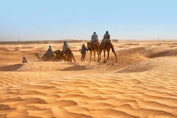 View of tourists who ride camels in the Sahara desert during strong winds — Stock Photo, Image