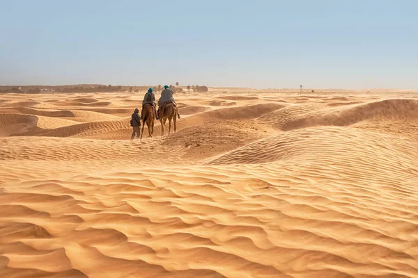 Вид на туристов, которые катаются на верблюдах в пустыне при сильном ветре — стоковое фото