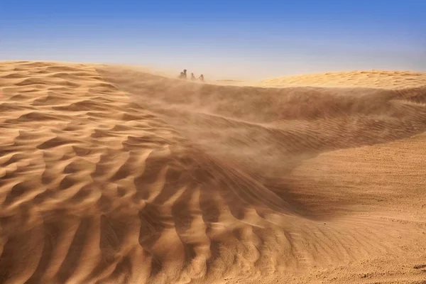 Dune di sabbia solitarie in un forte vento sotto il cielo sullo sfondo del deserto arido — Foto Stock