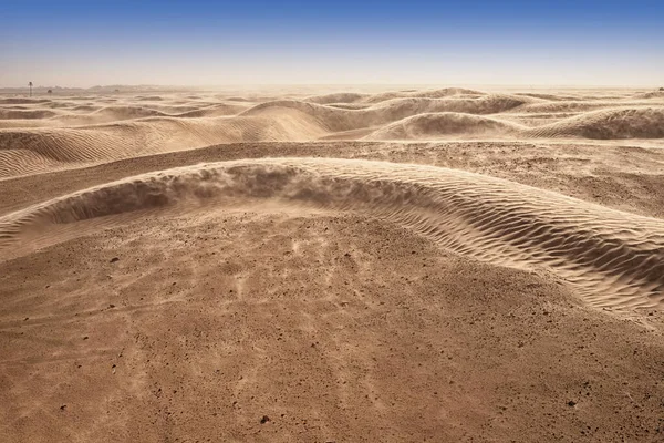 Dunas de areia solitárias em um vento forte sob o céu contra o fundo do deserto árido — Fotografia de Stock