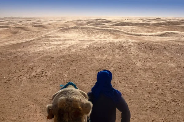 Berbero sta con la schiena con un cammello e guarda la distanza nel deserto del Sahara — Foto Stock