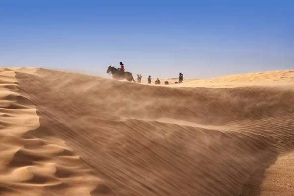 Berbero cavalca un cavallo nel deserto del Sahara durante un forte vento, tempesta di sabbia. — Foto Stock