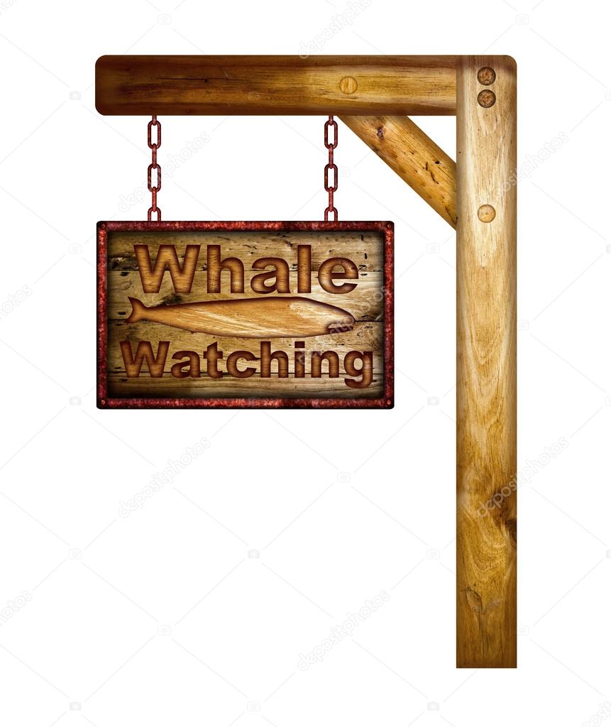 Wooden Whale Watching Sign Stock Photo Bluefern 81559372 Wooden Whale Watching Sign Stock Photo