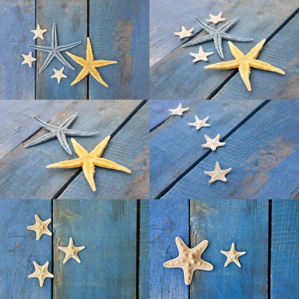 Coleta e definir estrela do mar — Fotografia de Stock