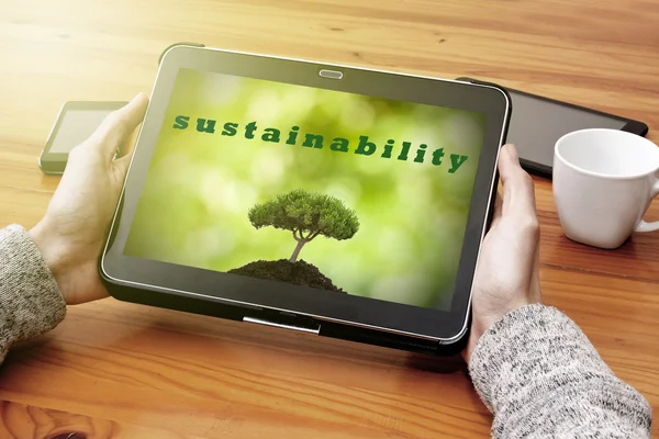 Concept of sustainable development — Stock Photo, Image