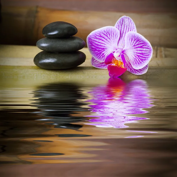 Achtergrond van de wellness en natuur — Stockfoto