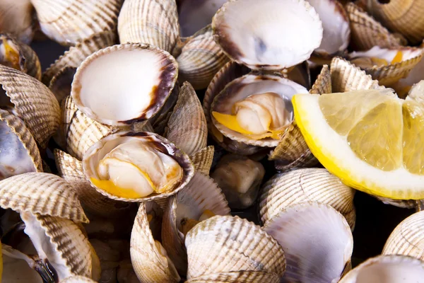 Prepared cockles, shellfish — Stock Photo, Image