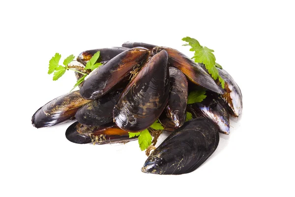 Moules isolées sur blanc — Photo