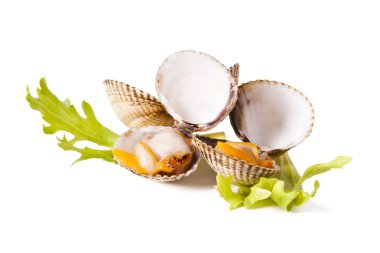 Deniz ürünleri üzerine beyaz izole