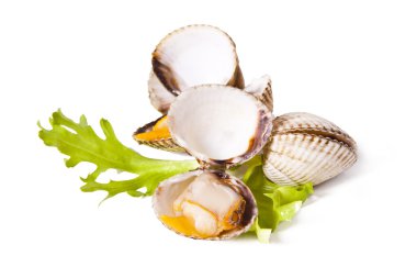 Deniz ürünleri üzerine beyaz izole