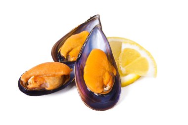 Beyazlar üzerinde yalıtılmış midyeler