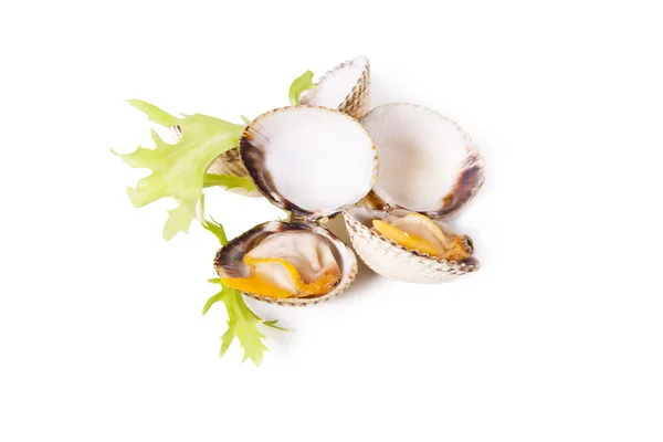 Seafood isolated on white — Stock Photo, Image