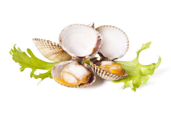 seafood isolated on white