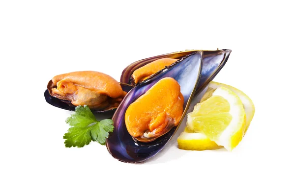 Cozze isolate su bianco — Foto Stock