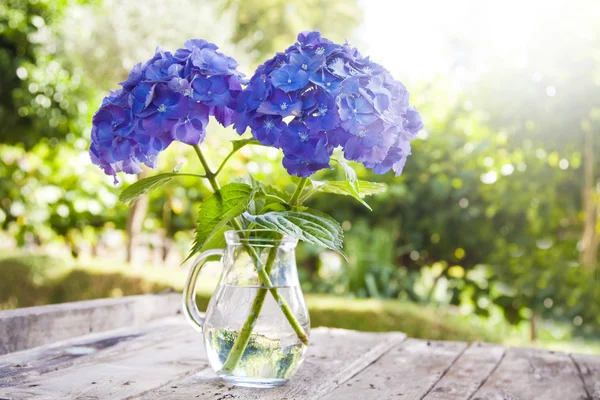 Natuurlijke bloemen, achtergrond — Stockfoto