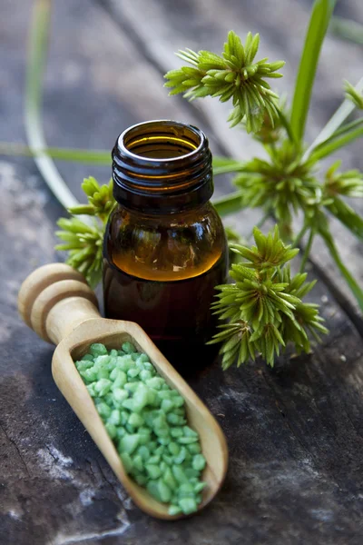 Natural medicine concept — Stock Photo, Image