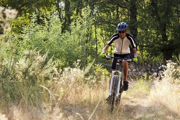 Mountainbike im Freien — Stockfoto