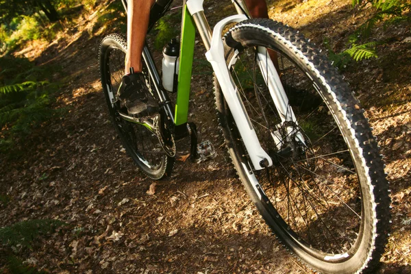 Mountainbike-åkaren, Cykling — Stockfoto