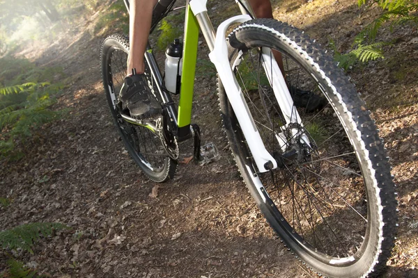 Mountainbike-åkaren, Cykling — Stockfoto